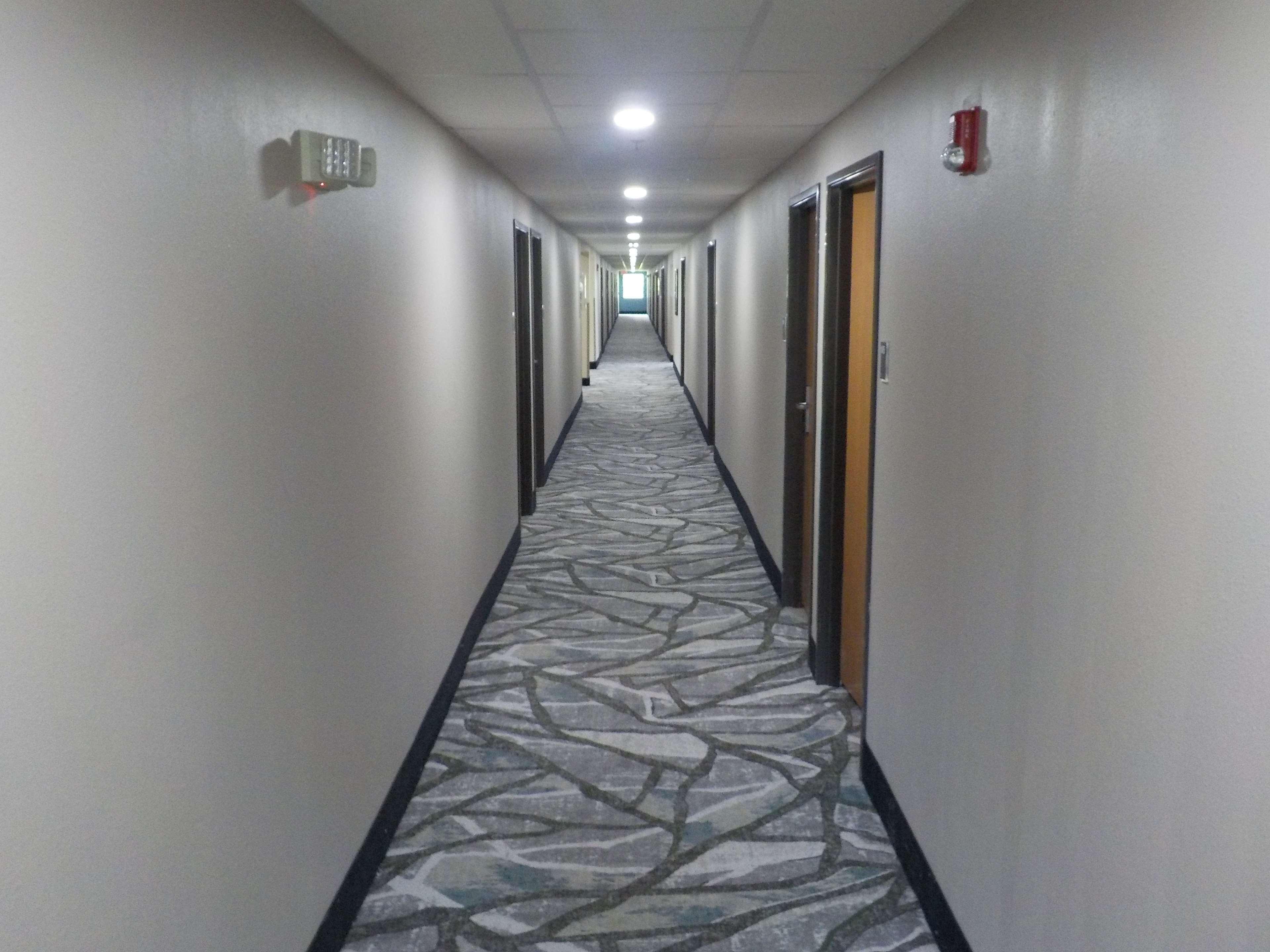 Mj Inn And Suites Marienville Interiér fotografie